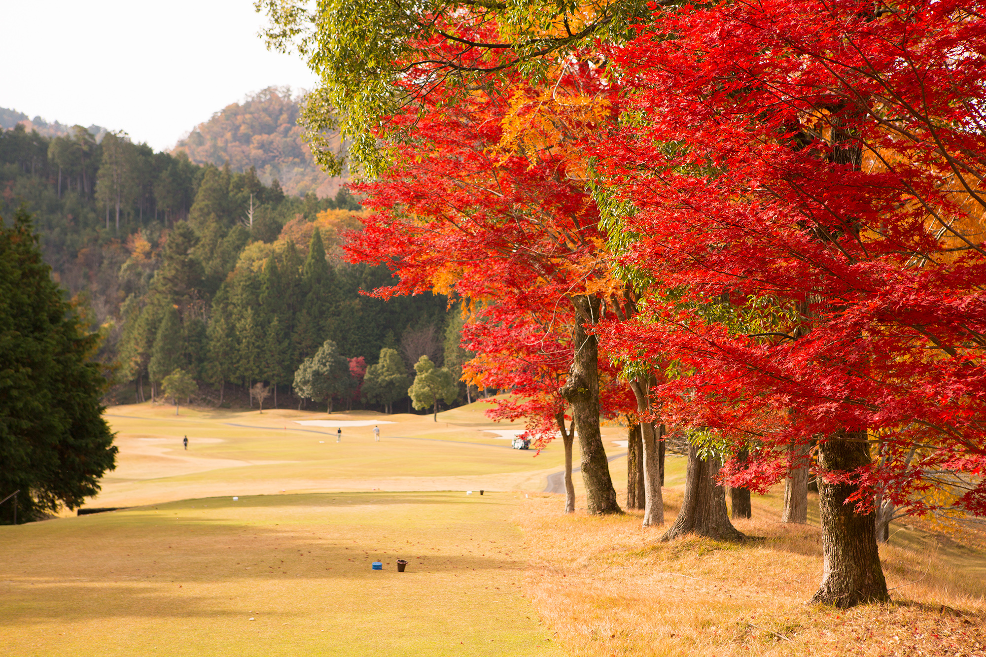 ゴルフ場風景（秋）