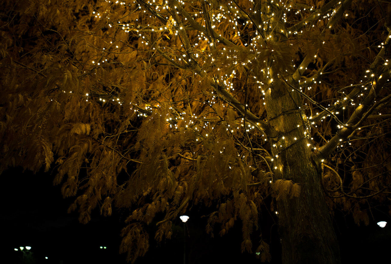 イルミネーションツリー