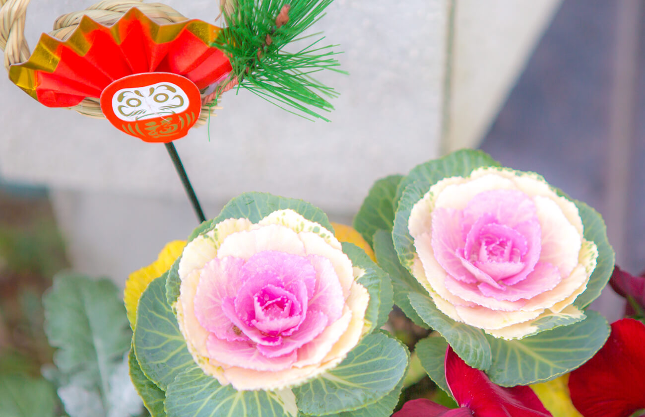 正月と牡丹