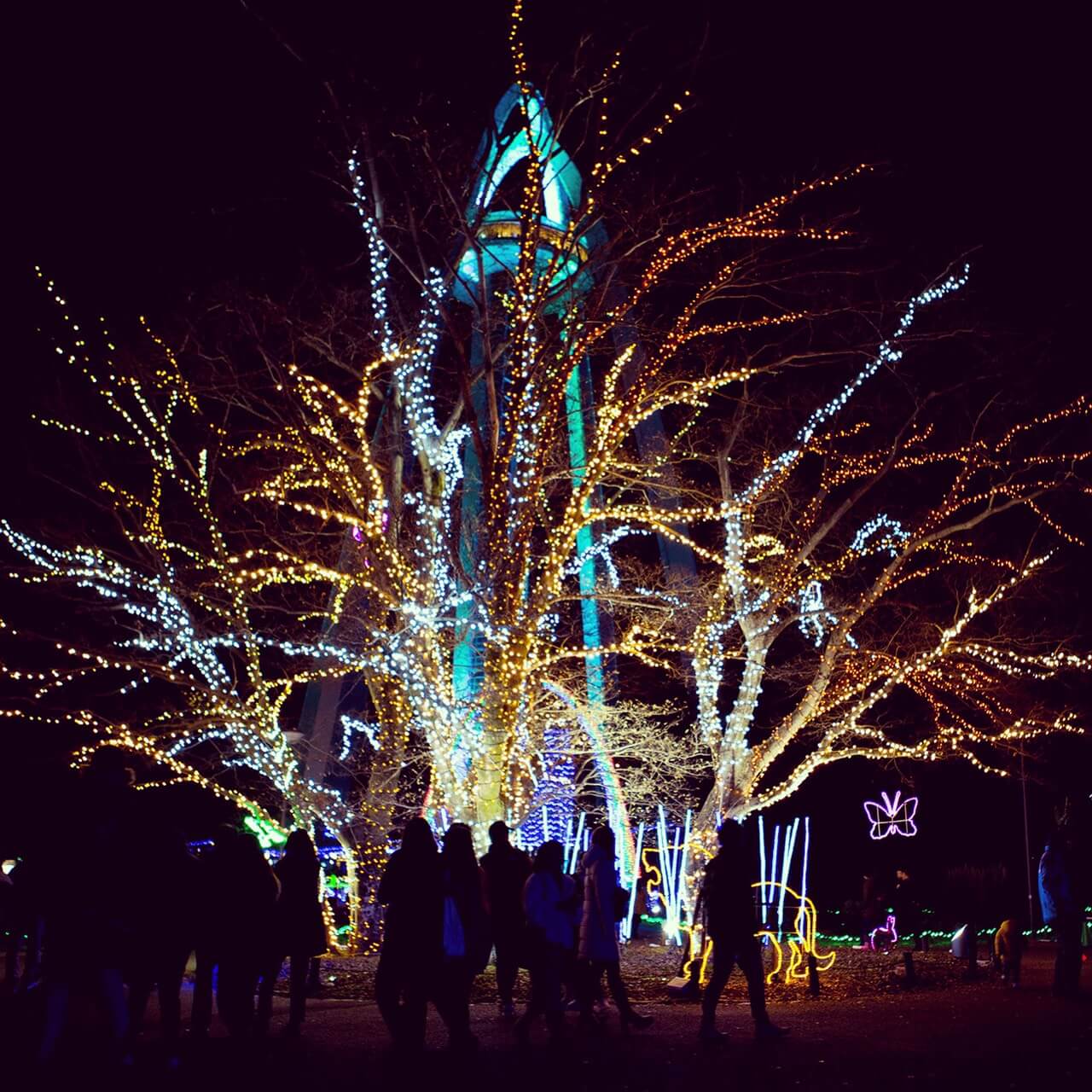 木と一宮タワー