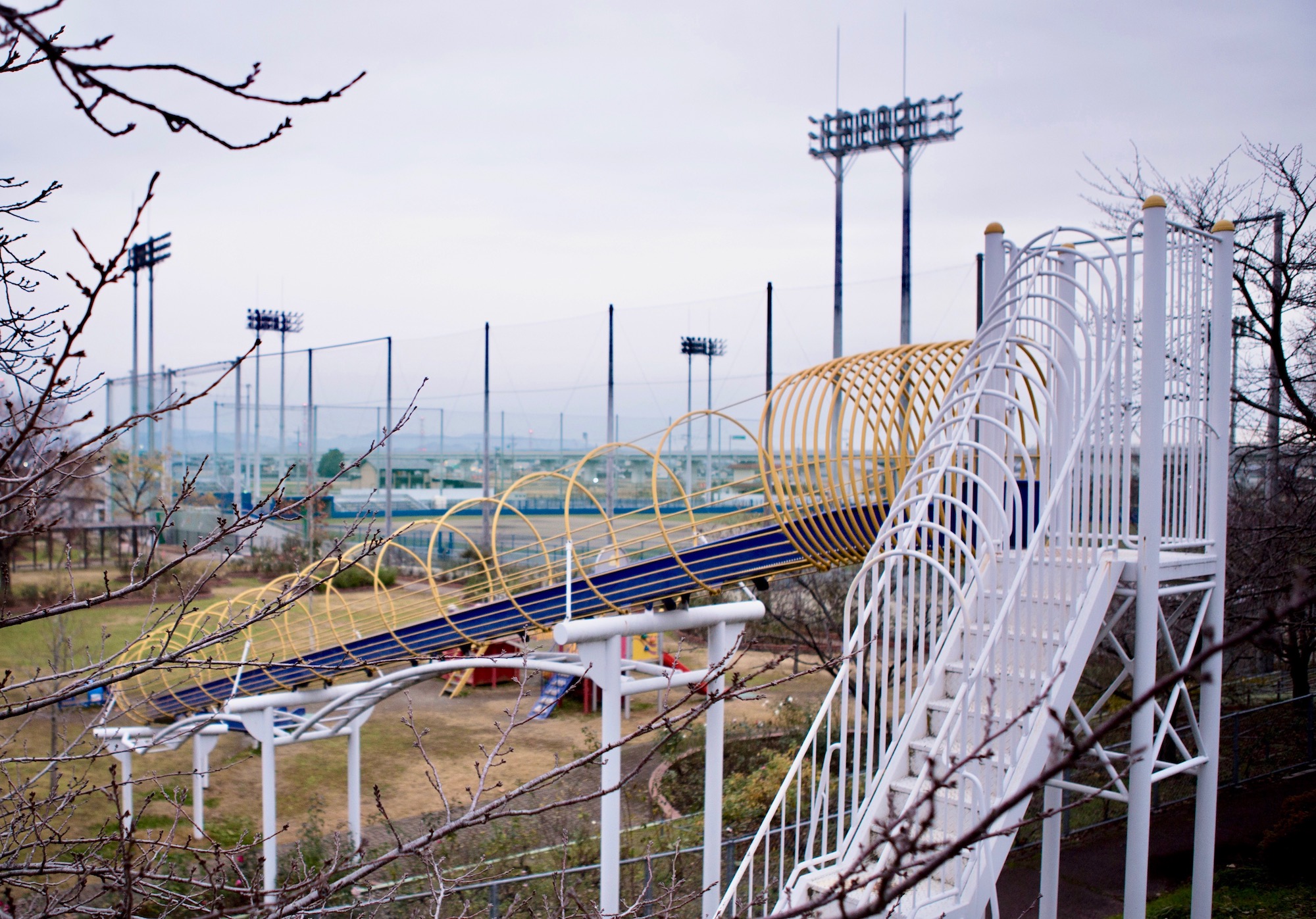 枯れ木と滑り台