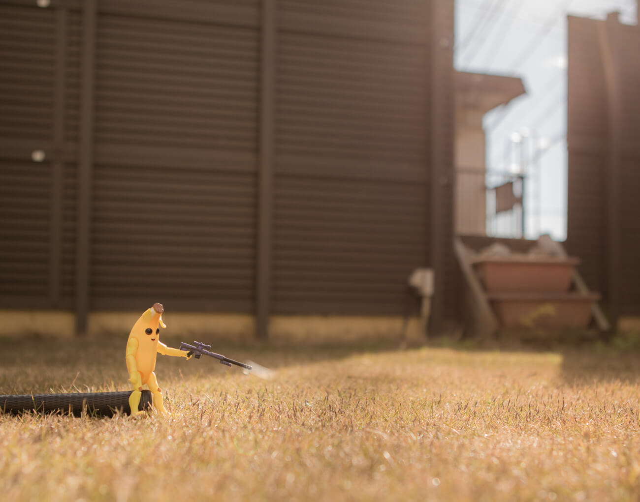 バナナと芝生と発砲
